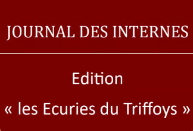 Aperçu de l'article - Journal des internes