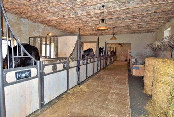 Intérieur de l'écurie : boxes en bois, lumière naturelle, ambiance calme