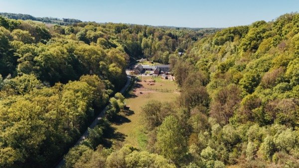 Vue aérienne du domaine boisé des Écuries du Triffoy